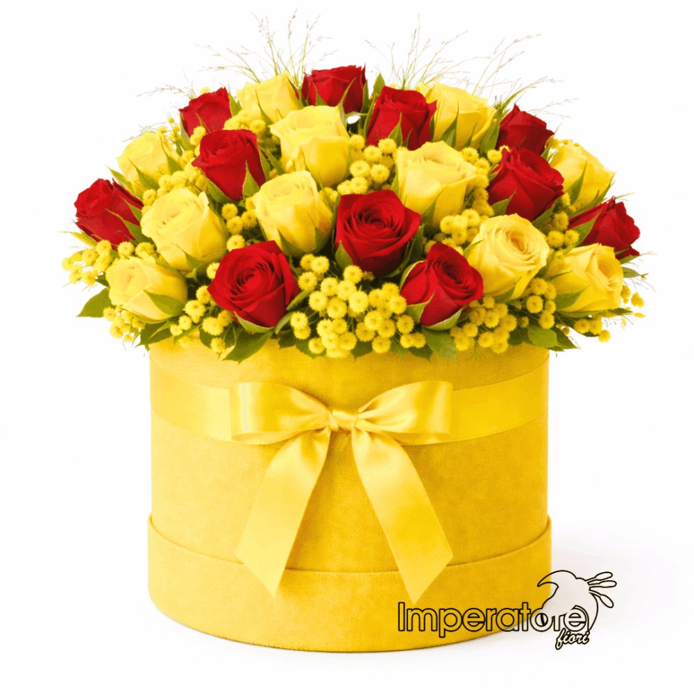 Flower box gialla con rose rosse e gialle e mimosa
